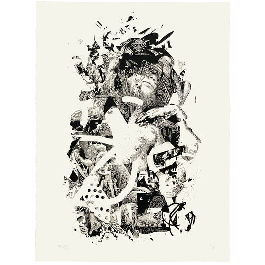 Meta Emotions - Screenprint